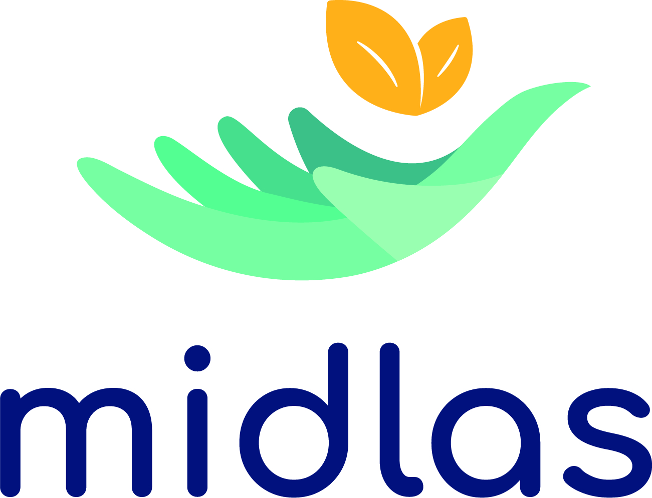 Midland Debt, Information and Advocacy Service (MIDLAS)