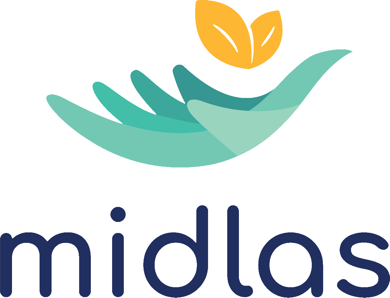 Midland Debt, Information and Advocacy Service (MIDLAS)